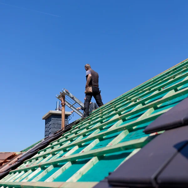 Chimney Sweeping Professional